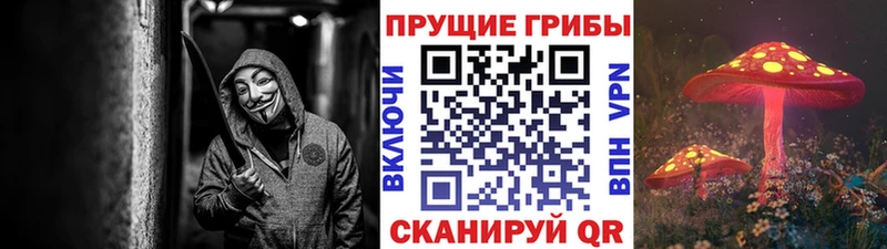 где найти наркотики  Серов  Псилоцибиновые грибы мухоморы 