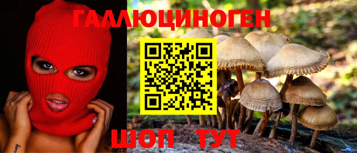 Псилоцибиновые грибы GOLDEN TEACHER  Вход с VPN  Серов 